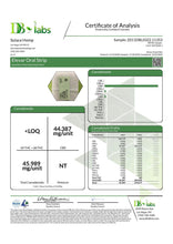 Load image into Gallery viewer, Elevar Leafs 125mg CBD Oral Strips - Associated CBD