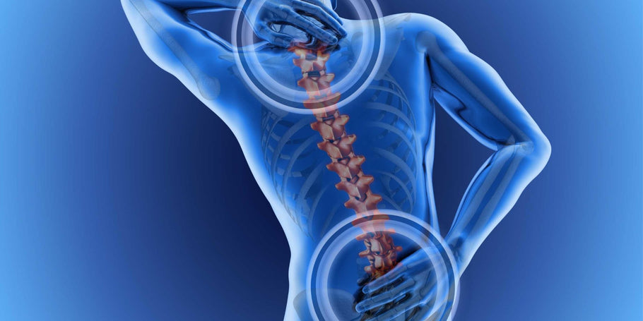 CBD and Back Pain