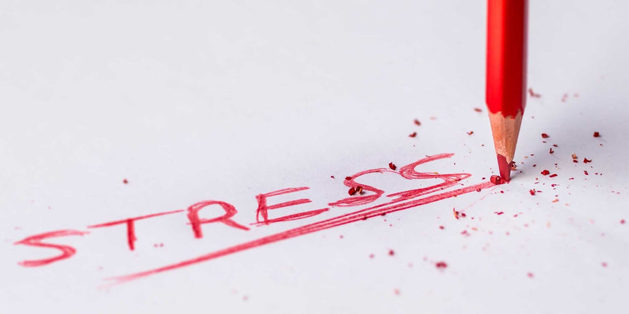 CBD and Stress